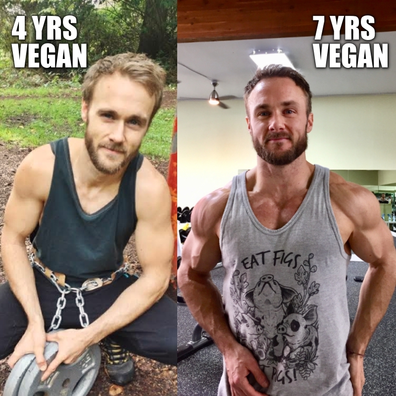 4-7 yrs vegan[3962]